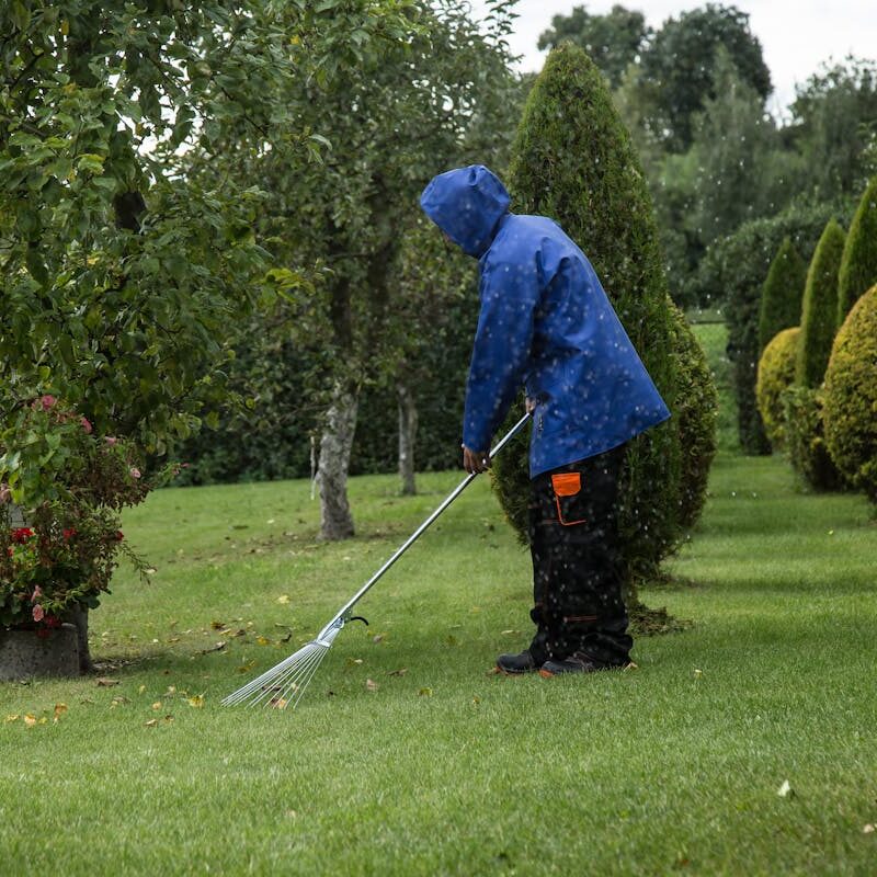 Garten im Herbst
