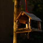 Garten im Herbst