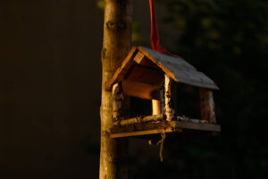Vogelhäuschen im privaten Garten