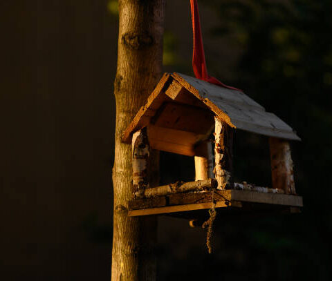 Vogelhäuschen im privaten Garten