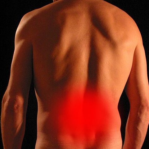 Physiotherapie